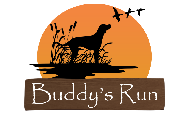 Buddy's Run logo design